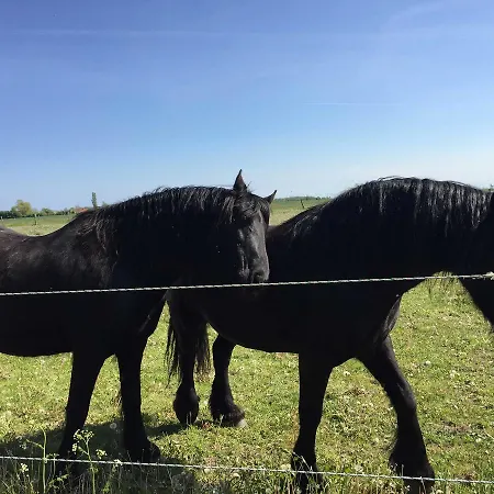 Gutspark Schwarbe Mit Reiterhof - 3 Farm stay *
